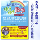 若大将のゆうゆう散歩 東京下町編