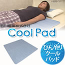 東京西川ひんやりクールパッド