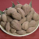 ��q���̖���