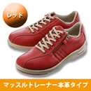 マッスルトレーナー 本革タイプ（婦人）