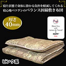 レーヌブレンド・エコマーク付きバランス固綿敷き布団