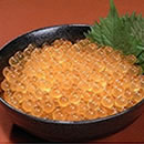 �O���Y�嗱���t������