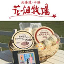 �Ԕ��q��E�������̑�ܓ��ʃZ�b�g [���L��������]