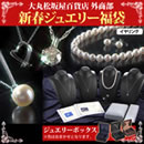 2015 大丸松坂屋外商部 ジュエリー福袋