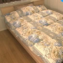 �j���[�S�[���h���x�����ʉH�ъ|�z�c�V���[�Y