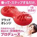 元タカラジェンヌ 初嶺麿代プロデュース フットジェンヌ