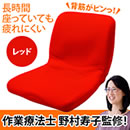 【特価】姿勢サポートクッション ピント