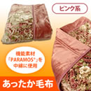 ダイワボウレーヨンPARAMOS中綿入りあったか毛布