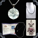 フットグルーマー マニキューレ