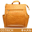 特別価格 オーストリッチリュック