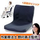 姿勢サポートクッション ピント モールドシート