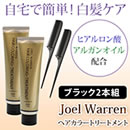 Joel Warrenヘアカラートリートメント（同色2本セット）