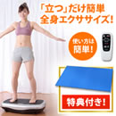 【特典付】ライフフィットトレーナー