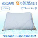 東京西川 エクストラアイスピローパッド