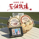 �Ԕ��q��E�e���r�����I���W�i���Z�b�g [���L��������]