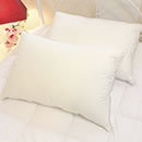 ダンフィル フィベールピロー2個セット