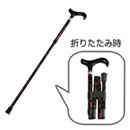 �܂肽���݃J�[�{���X�e�b�L