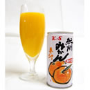 �I�B�Y�݂���W���[�X