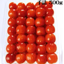 JA�����������R �������� �����ю�l