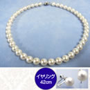 8.5�`9?��^��l�b�N���X�Z�b�g