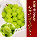 シャインマスカット