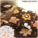 アルミ蒸着シート入りふっくらほかほか毛布