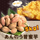 あんのう昔蜜芋