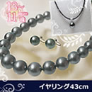 13-11mm珠黒蝶真珠グラデーションネックレスセット