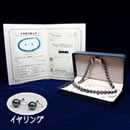 大丸松坂屋外商部 9-11mmオーロラ黒蝶真珠ネックレスセット