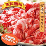 �{�苍�؂藎�Ƃ�