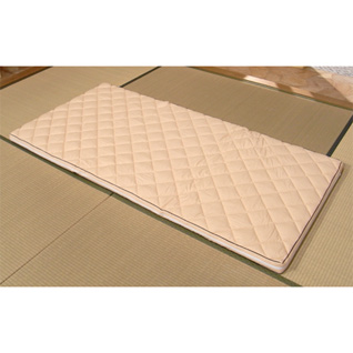 �G�A�X�N���[���̈����U�~���z�c