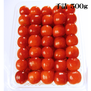 JA�����������R�������ڍ����ю�l