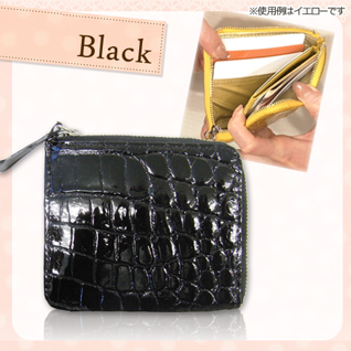 �N���R�_�C�� �����A�N�V�����E�H���b�g