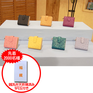 �I�[�X�g���b�`2�ܕ����z