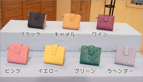 �I�[�X�g���b�`2�ܕ����z