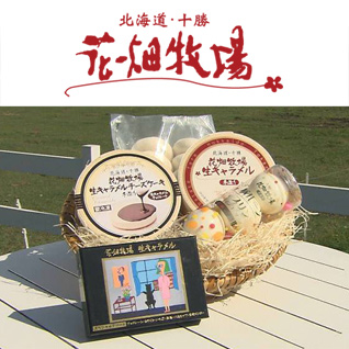 �Ԕ��q��E�e���r�����I���W�i���Z�b�g [���L��������]