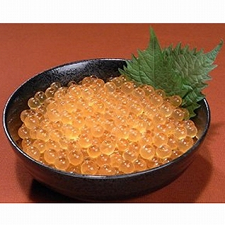 �O���Y�嗱���t������