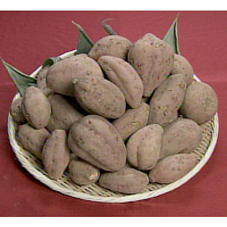 ��q���̖���