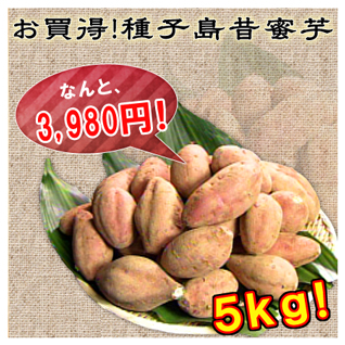 ��q���̖���