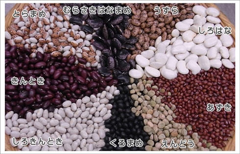 �ϓ��l�ߍ��킹�Z�b�g