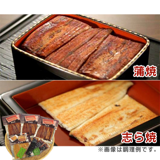 ��c�� ���āE�u���4�p�b�N�Z�b�g