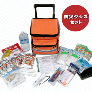 EX48�T�o�C�o�����[���[�o�b�O