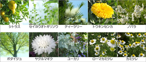 �p�[�t�F�N�g�����e�A�������ړI���