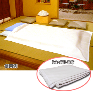 ���i���V���N�ѕz