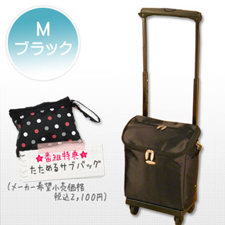 �X���j�[�E�H�[�L���O�o�b�O